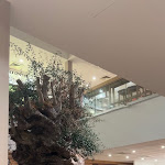 Photo n° 6 de l'avis de Alexandra.i fait le 16/10/2022 à 16:37 pour Vapiano Toulouse Blagnac Pasta Pizza Bar à Blagnac