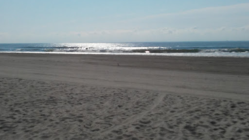 Historical Landmark «Lucy the Elephant», reviews and photos, 9200 Atlantic Ave, Margate City, NJ 08402, USA