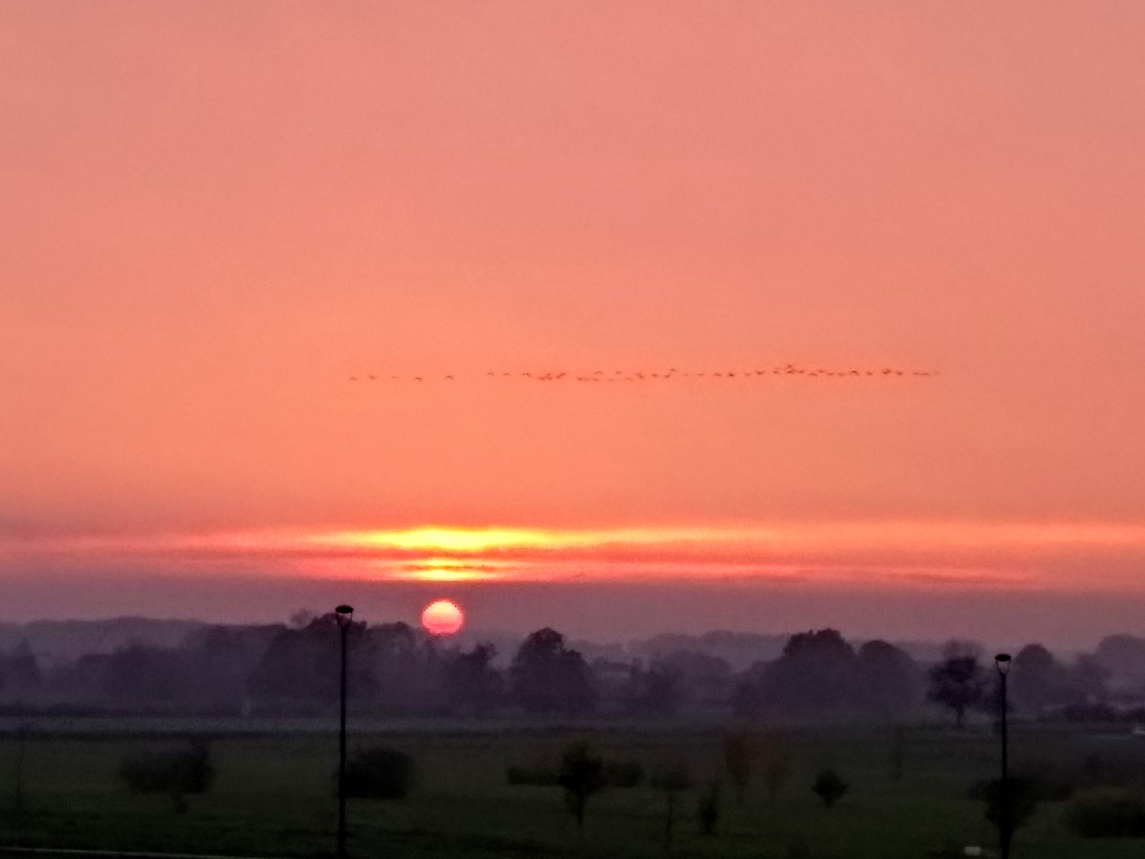 Photo n° 3 de l'avis de Anna.e fait le 17/11/2019 à 18:33