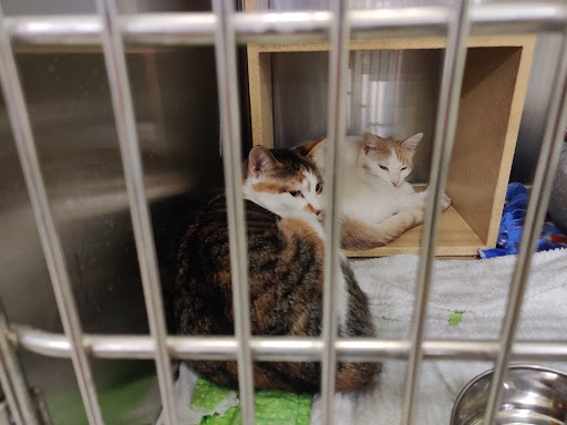 Pet Supply Store «PetSmart», reviews and photos, 5640 Cedar Lake Rd, Minneapolis, MN 55416, USA