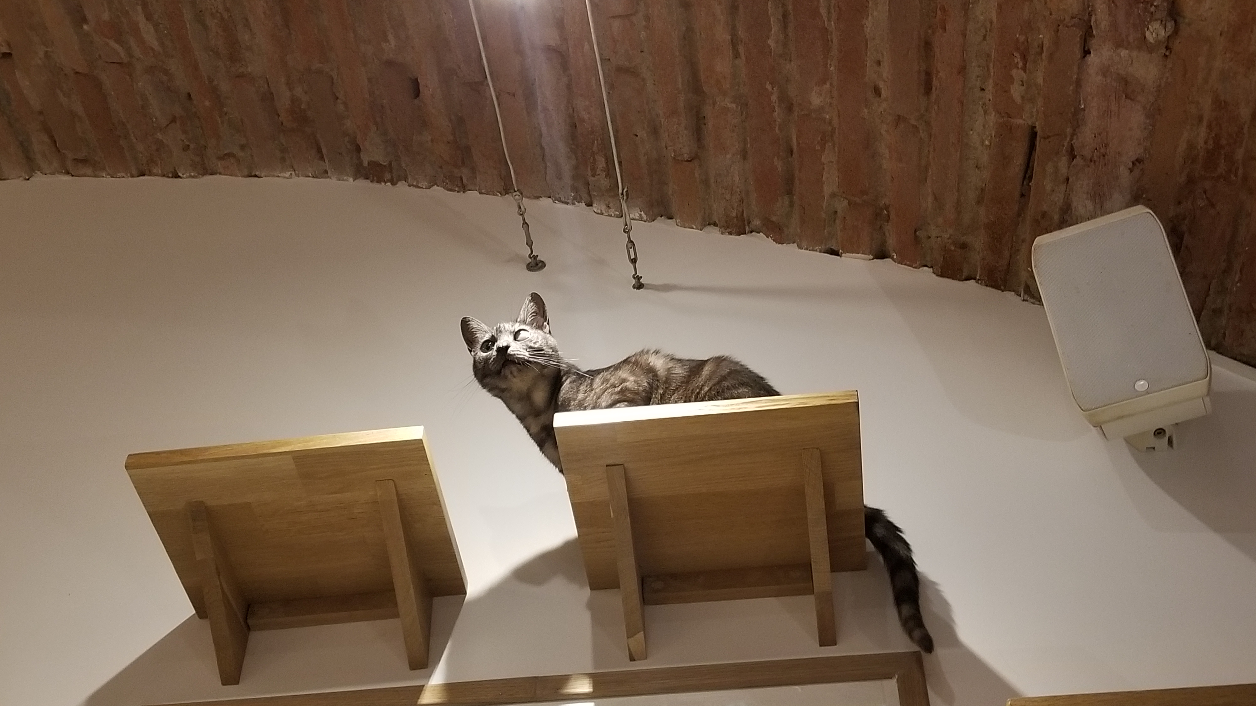 Photo n° 4 de l'avis de Solenn.e fait le 24/07/2020 à 20:27