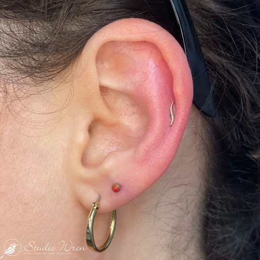 Explore snake tattoo ideas for females, creative tattoo ideas in Plano, available at Studio Wren Fine Jewelry & Piercing