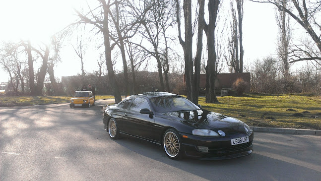 Park - Ostrowiec Świętokrzyski