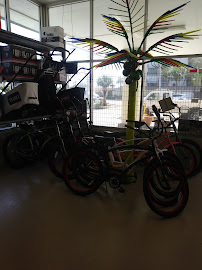 A-1-A Lawn Mowers - Photo 9 - Car repair in Satellite Beach, FL, Palm Bay