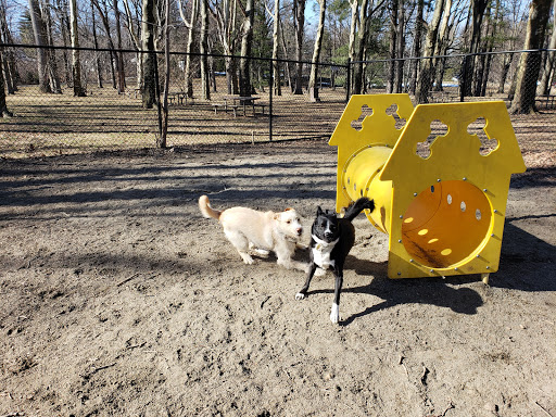 Dog Park «Brookdale Dog Park», reviews and photos, W Circuit Dr, Montclair, NJ 07043, USA