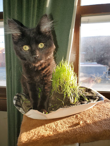 Pet Supply Store «Petco Animal Supplies», reviews and photos, 473 State Rd, North Dartmouth, MA 02747, USA