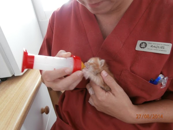 Imagen de Clínica Veterinaria La Campana (4 de 29)