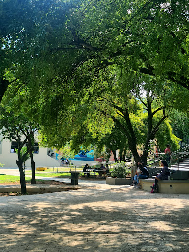 UANL Facultad de Artes Visuales