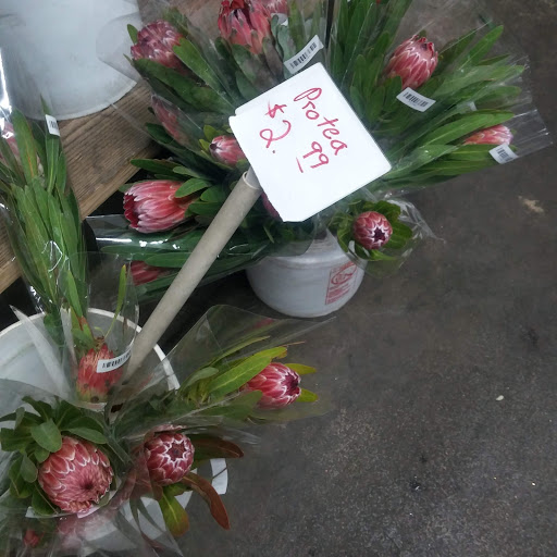 Florist «Wholesale Flowers and Supplies», reviews and photos, 5305 Metro St, San Diego, CA 92110, USA