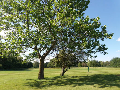 Golf Course «Indian Boundary Golf Course», reviews and photos, 8600 W Forest Preserve Ave, Chicago, IL 60634, USA