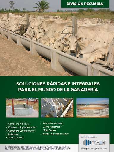 Praxis Ingenieria SRL