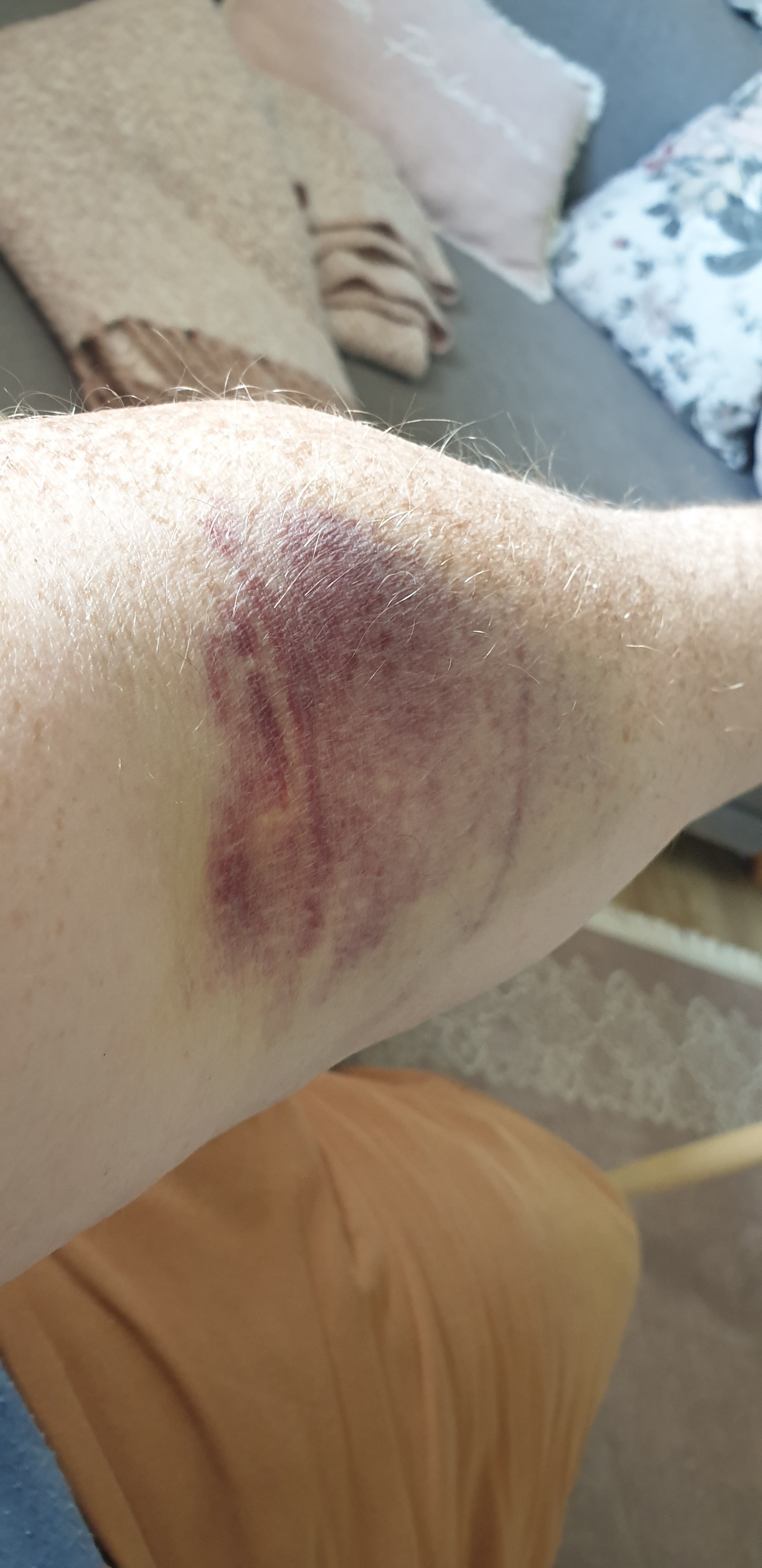 Photo n° 3 de l'avis de Mitch.e fait le 23/05/2021 à 13:08