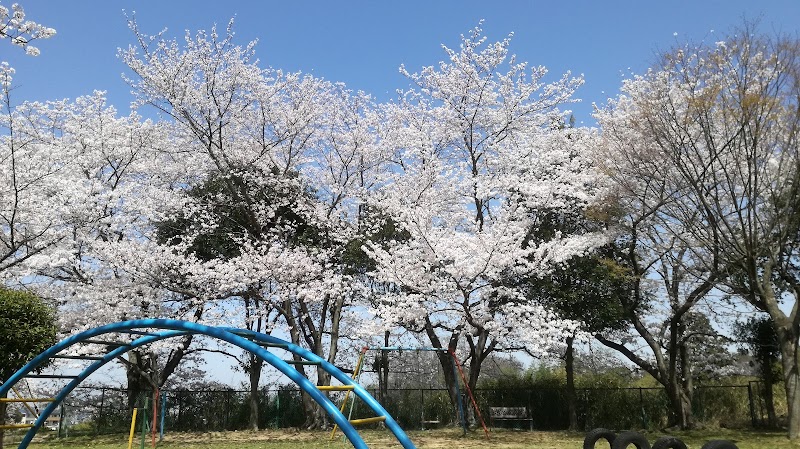 砂川公園 大阪府泉南市信達市場 公園 グルコミ