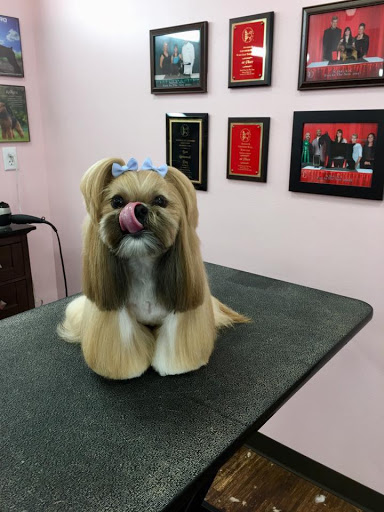 Pet Groomer «Woof Gang Bakery & Grooming, The Villages», reviews and photos, 3682 Meggison Rd, The Villages, FL 32163, USA