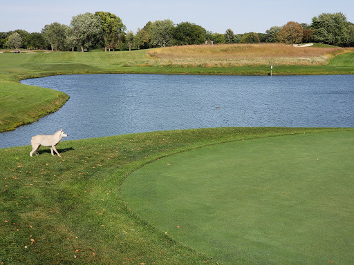 Golf Club «Hazeltine National Golf Club», reviews and photos, 1900 Hazeltine Blvd, Chaska, MN 55318, USA