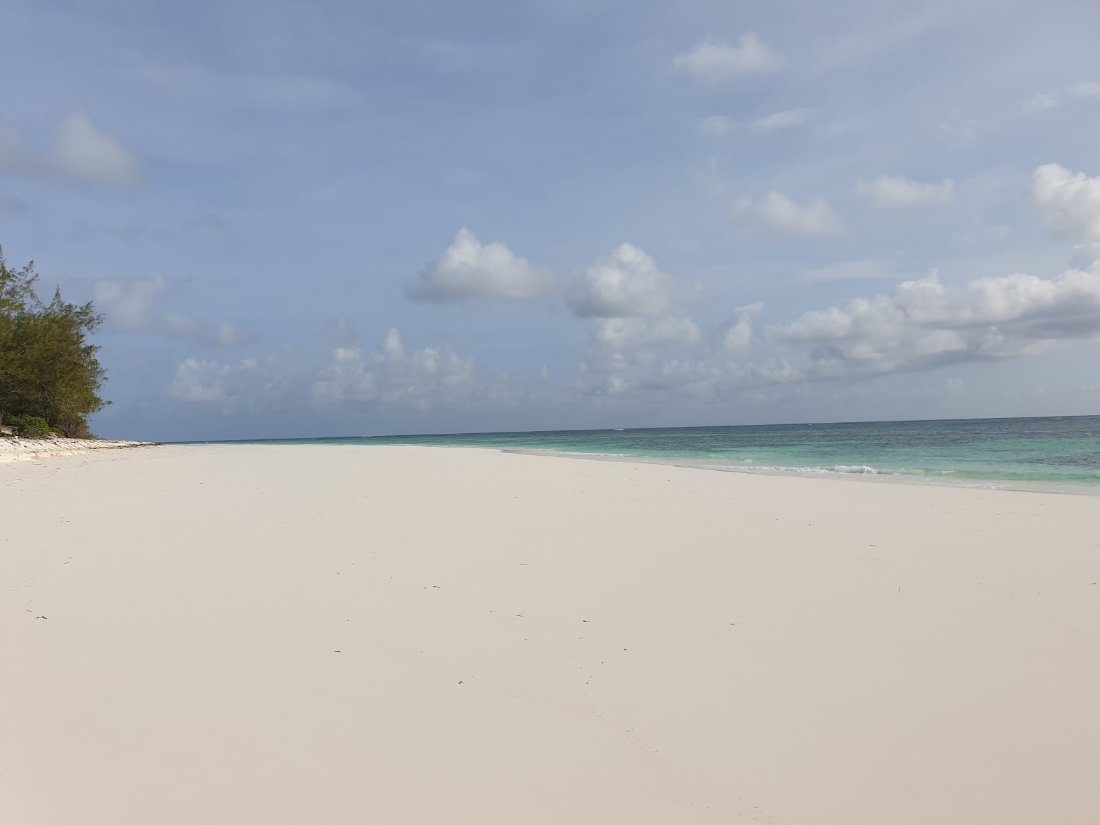 Zdjęcie Plaża Mbuyuni położony w naturalnym obszarze