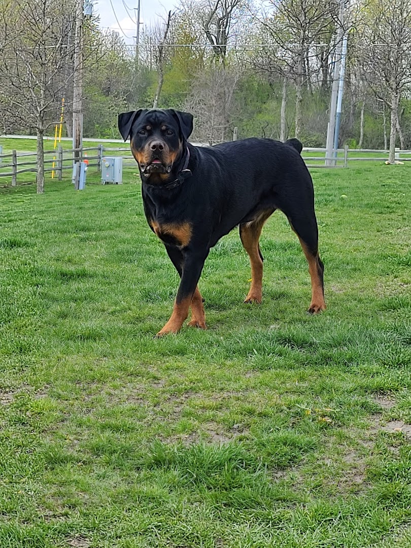 River Run Dog Park