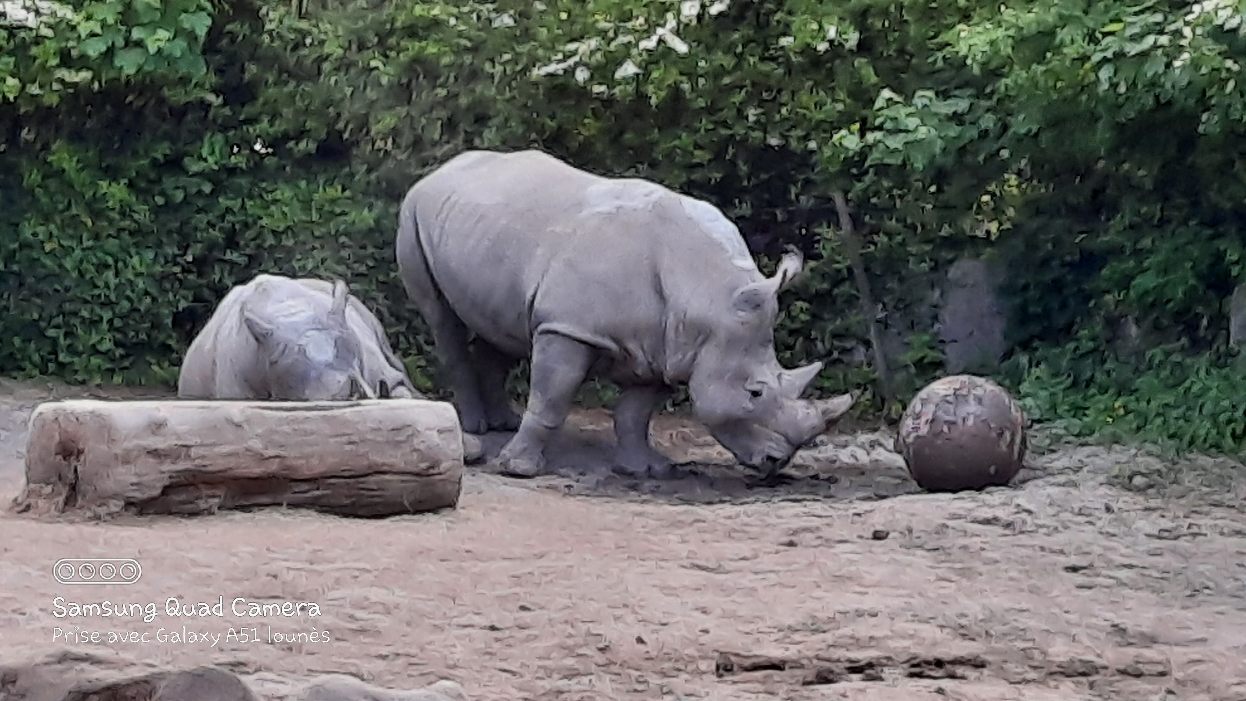 Photo n° 8 de l'avis de Lounes. fait le 02/06/2021 à 21:26