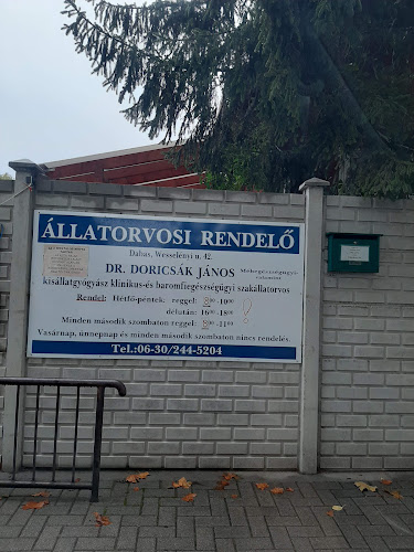 Állatorvosi Rendelő Dr. Doricsák János - Dabas