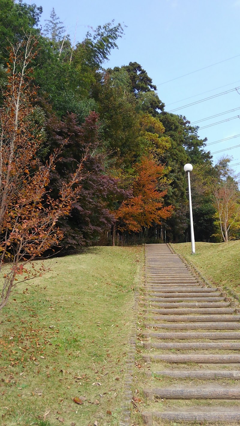 日産化学株式会社 材料科学研究所