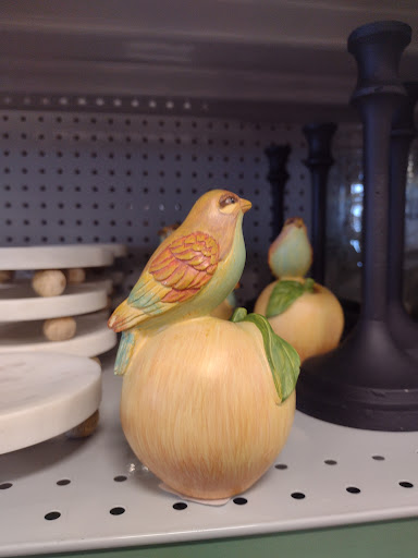 Home Goods Store «At Home», reviews and photos, 2780 Wilma Rudolph Blvd, Clarksville, TN 37040, USA