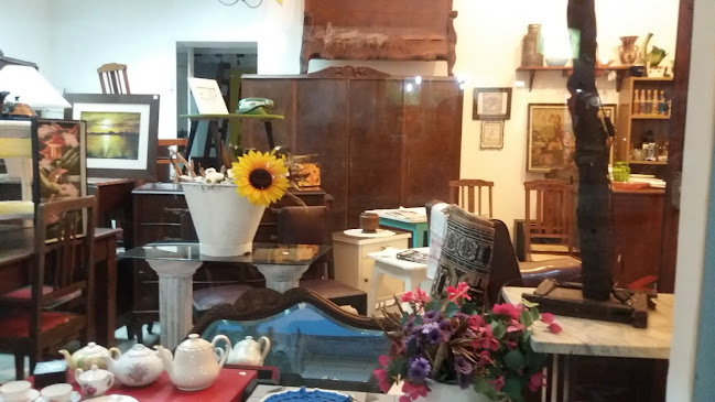 Opiniones de Jorge Viera Muebles Antigüedades Remates en San Ramón - Tienda de muebles