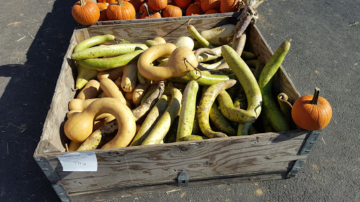 Produce Market «Solly Brothers», reviews and photos, 707 Almshouse Rd, Warminster, PA 18974, USA