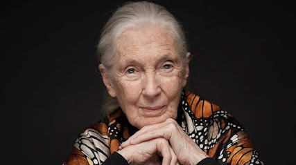 Jane Goodall Institute Austria