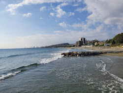 Photo de Aoratoi Beach - Blue Flag et le règlement