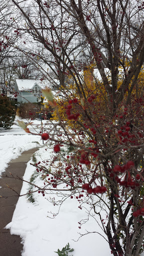 Auditorium «Lyon Park Community Center», reviews and photos, 414 N Fillmore St, Arlington, VA 22201, USA