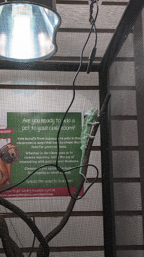 Pet Supply Store «Pet Supplies Plus», reviews and photos, 7041 Barker Cypress Rd, Cypress, TX 77433, USA