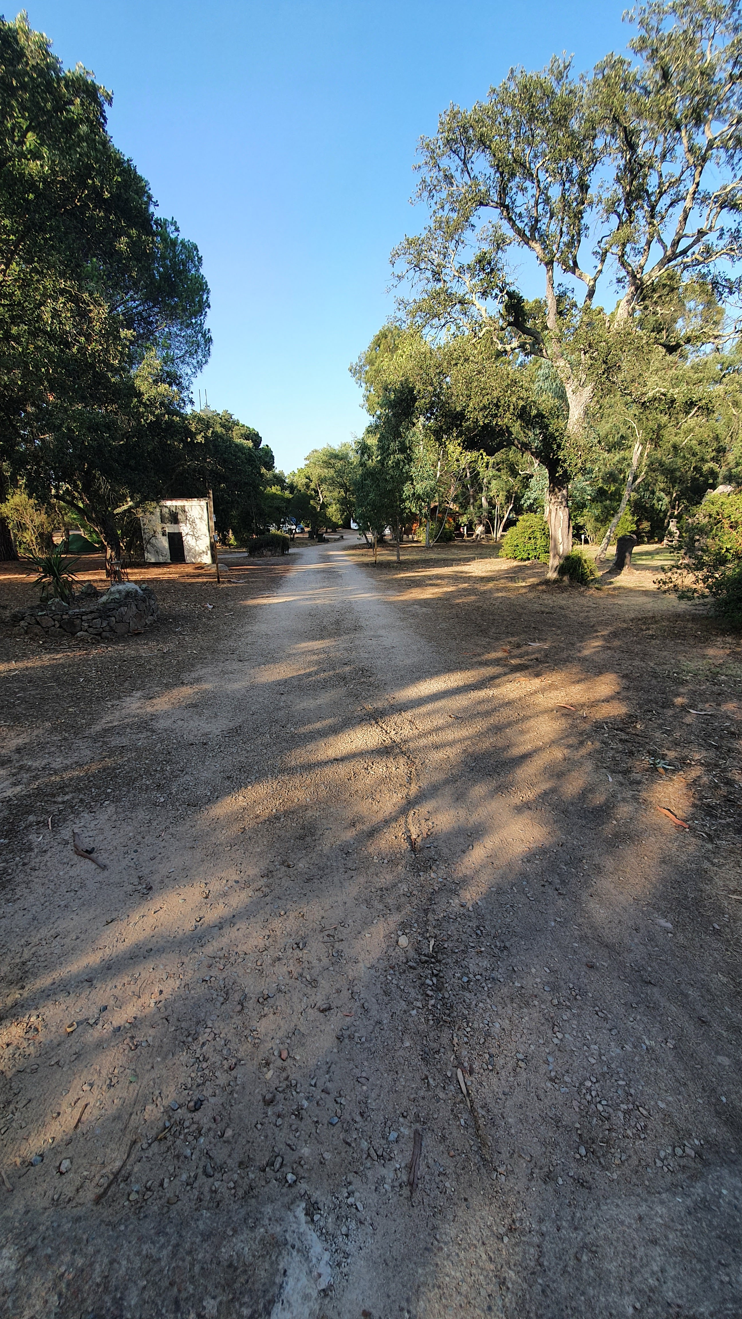 Photo n° 6 de l'avis de Illig.t fait le 16/08/2021 à 19:21