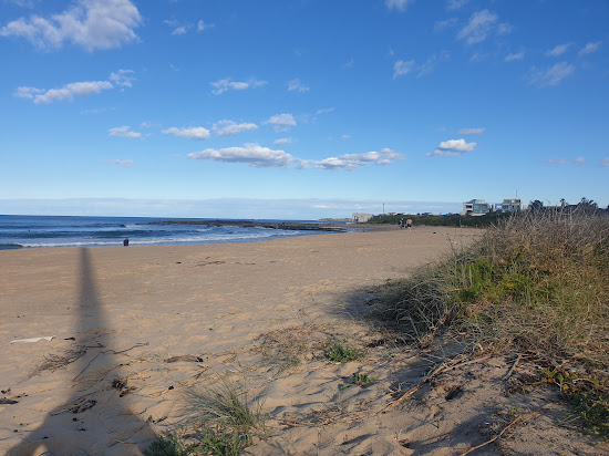 Woonona Beach