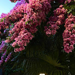 Photo n°3 de l'avis de chiara.a fait le 16/08/2023 à 13:08 sur le  Battil'oro fuochi + lieviti + spiriti à Querceta