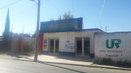 Farmacias Yael Av. Erasto Gonzalez, La Encarnación, San Pablo De Las Tunas, Pue. Mexico