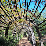 Photo n° 2 de l'avis de Jean.r fait le 10/09/2023 à 10:38 pour Les Jardins de Marqueyssac à Vezac
