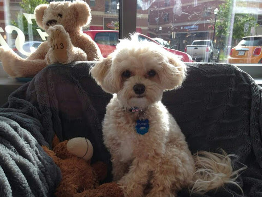 Jeweler «White & Ivory Fine Jewelry», reviews and photos, 1610 Village Market Blvd SE #110, Leesburg, VA 20175, USA