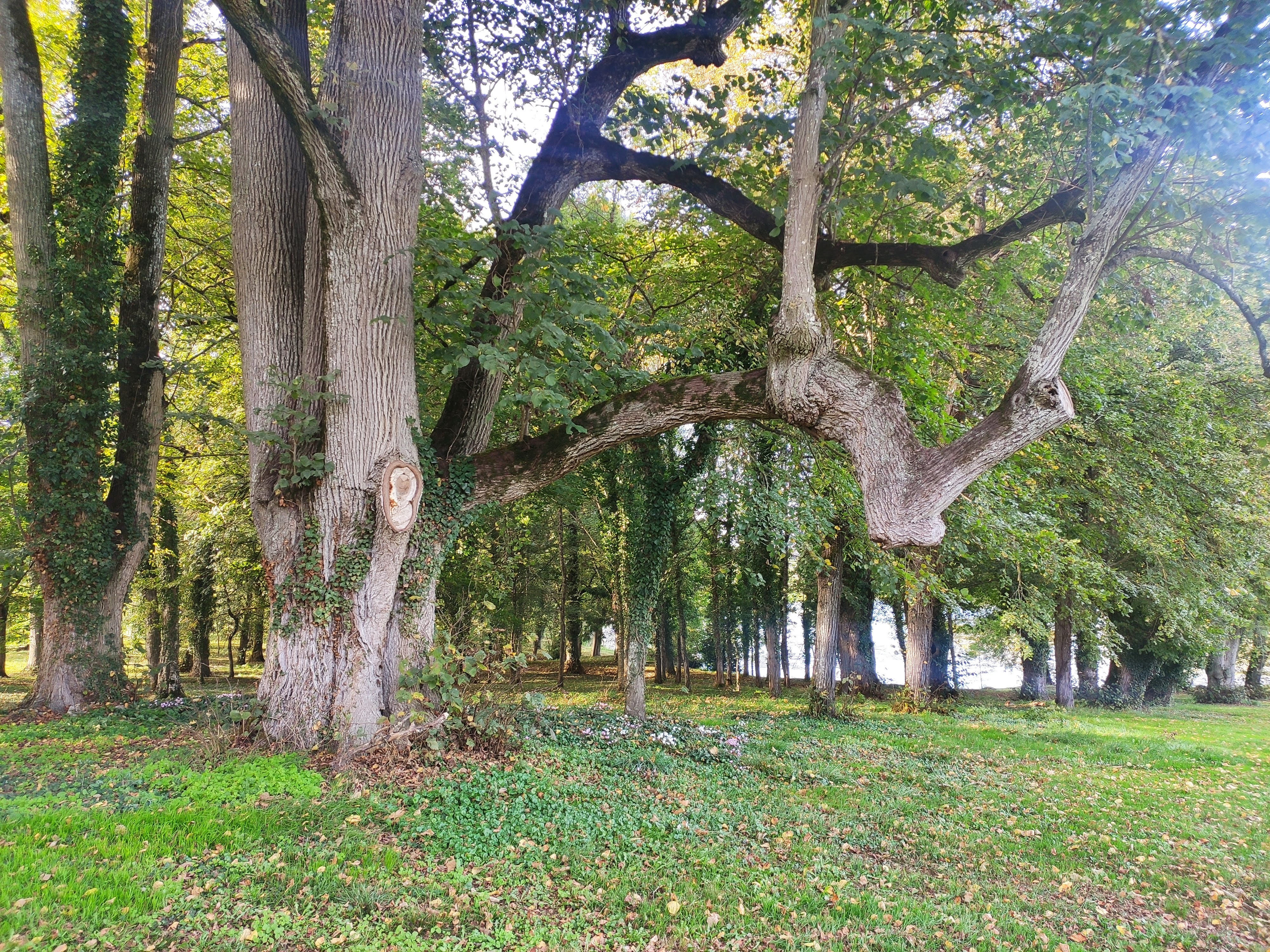 Photo n° 2 de l'avis de Michel.h fait le 19/10/2022 à 12:15