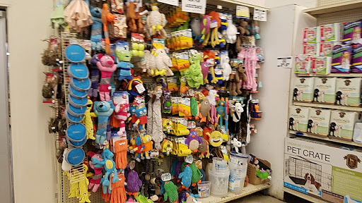 Discount Store «Ocean State Job Lot», reviews and photos, 901 Boston Post Rd, Old Saybrook, CT 06475, USA