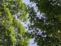 泉野第６児童公園