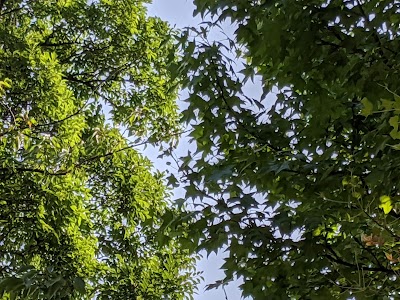 泉野第６児童公園