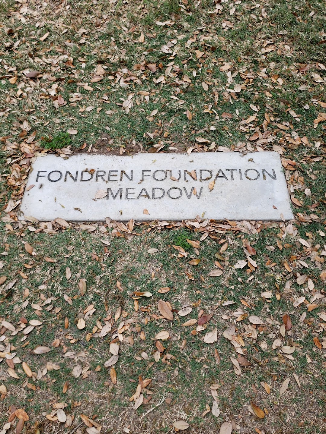 Fondren Foundation Meadow