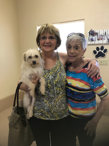 1 Love Dog Rescue image