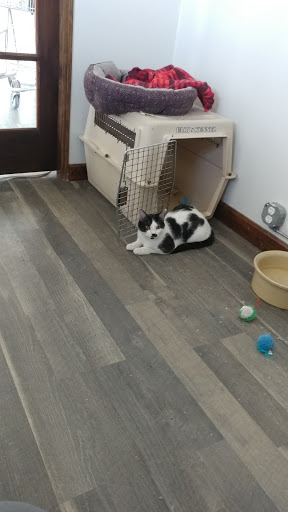 Pet Store «Next to Nature», reviews and photos, 1624 Tacoma Ave S, Tacoma, WA 98402, USA