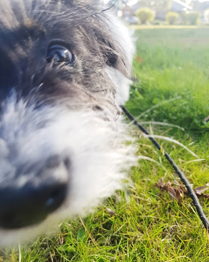 Park «Collins Park», reviews and photos, 2100 Collins Ave, Miami Beach, FL 33140, USA