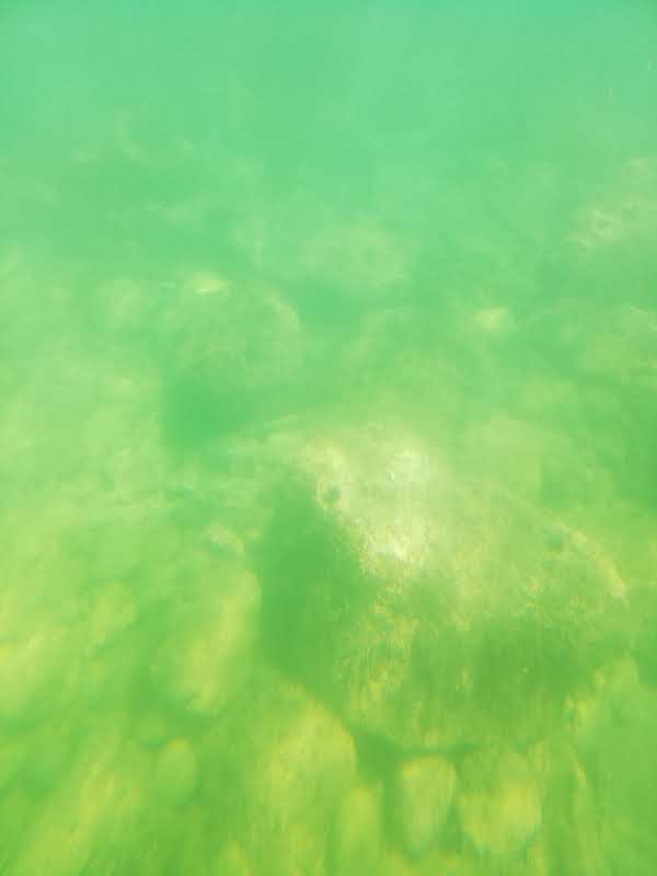 Photo n° 17 de l'avis de Schout.a fait le 15/07/2019 à 09:52