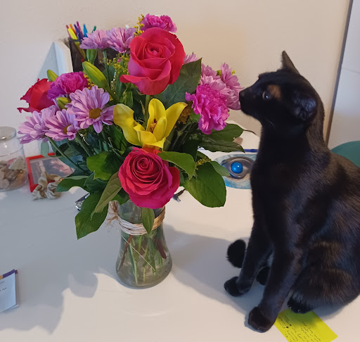 Florist «Diamond Floral Designs», reviews and photos, 7425 E Iliff Ave, Denver, CO 80231, USA