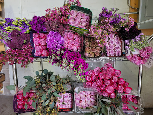 PickaFlor Floral Wholesaler