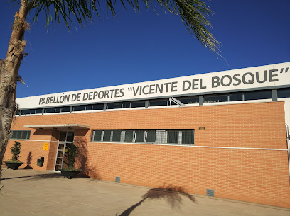 Pabellón de Deportes Vicente Del Bosque - Casa Elena, 30331 Murcia, Spain