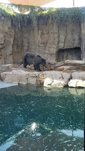 Zoo «Reid Park Zoo», reviews and photos, 3400 Zoo Court, Tucson, AZ 85716, USA